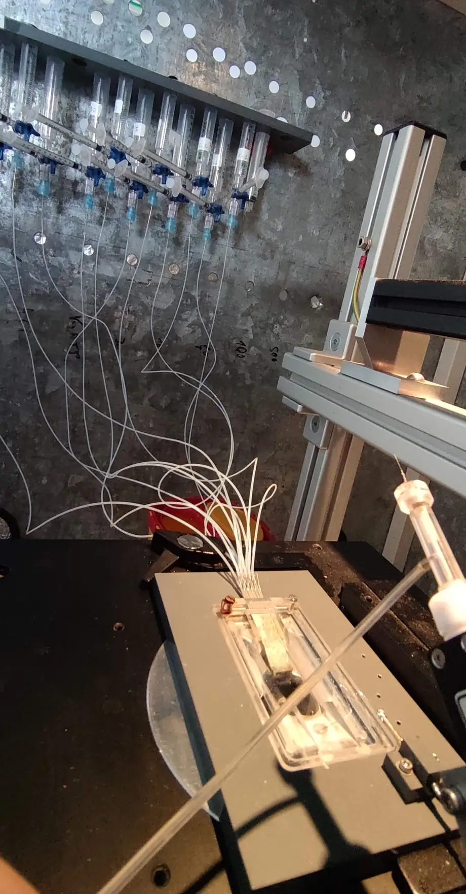 Electrophysiology rig · 2021